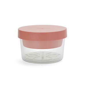 11/20-26Gg[P5{ WFN[ Eh EBYCi[gC k[h` ۗ܈̌^`{bNX OD쏊 y GEL-COOL round with inner tray ٓ ٓ ۗT_P[X 