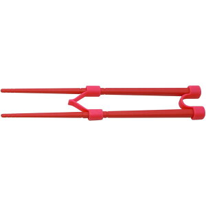 9/19-23 ő100%|CgobN ̂̂ ͂߂Ă̂Ɣ SS 16cm S 18cm  [ y  qp g[jO qpH qp H@Ή z