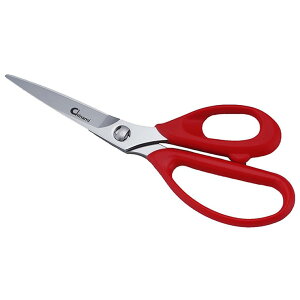 TNtg lg̗̃vlLb`oT~ CHI-01 y Lb`oT~  { Lb`͂ c[ z