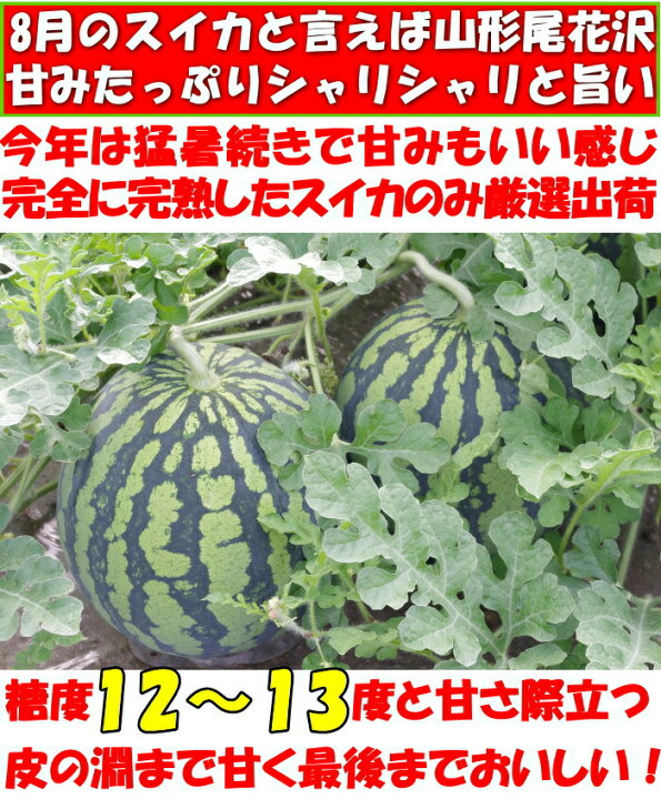 スイカ 甘い 糖度 贈答 山形 尾花沢 すいか 大玉 ギフト 2l サイズ 1玉 約7kg 7 9人前 山形 菅野農園 尾花沢スイカ 直送 西瓜 品種 縞無双 お供え お盆 クックス産直店