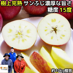  X n Tӂ  10kg 24-40 Ε   ₷  ƉF񂲉 S Mtg   ӂ  \ Y X _ƒ 