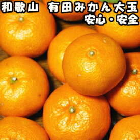 みかん 和歌山 有田 訳あり 大玉 10kg 2L〜3L 送料無料 有田柑橘さんさん わけあり 温州 有田みかん 訳アリ 家庭用 箱 買い ありたみかん 和歌山 有田ミカン 農家直送 薄皮 お取り寄せ
