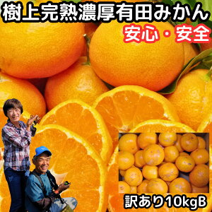 みかん 和歌山 有田 訳あり 甘い 美味しい 糖度 10kg 2l〜ss B品 小玉 大玉 混合 有田柑橘さんさん 樹上完熟 わけあり 早生 温州 有田みかん 訳アリ 家庭用 箱 買い ありたみかん 和歌山 有田ミカ