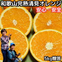 清見 きよみ 和歌山 有田 完熟 清見オレンジ 5kg 贈答用 送料無料 甘い 糖度 清見タンゴール みかん 5kg ギフト 箱 買…