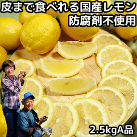 レモン 国産 ノーワックス 安心 防腐剤 不使用 2.5kg A品 皮まで食べれる 和歌山 有田さんさん リスボン 黄色