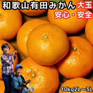 �݂��� �a�̎R �L�c �󂠂� ��� 10kg 2L�`3L �������� �L�c���k���񂳂� �킯���� ���B �L�c�݂��� ��A�� �ƒ�p �� ���� ���肽�݂��� �a�̎R �L�c�~�J�� �_�ƒ��� ���� ������