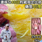 さつまいも 5kg 紅はるか S サイズ 完熟 甘い 熟成 さつま芋 大分 芦刈農産 ねっとり 濃厚 蔵出し べにはるか ギフト さつま芋 箱入 焼きいも 送料無料