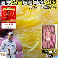 【驚異のリピ率62％】 さつまいも 紅はるか 5kg l〜m or S 生芋 完熟 甘い 熟成 追熟 さつま芋 はるか姫 …