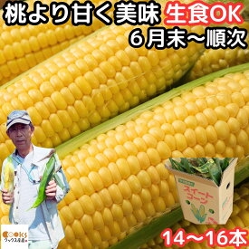 とうもろこし 生で食べれる 甘い 朝どれ お中元 早割 大分産 三重町 芦刈農産 生トウモロコシ 14～16本 約6kg 食べ物 食品 内祝 御中元 2024 送料無料 わくわくコーン どきどきコーン ゴールドラッシュ 黄色 バイカラ 6月 7月 8月