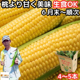 とうもろこし 早割 生で食べれる 甘い 朝どれ お中元 大分産 三重町 芦刈農産 生トウモロコシ 10～13本 約4.5kg 食べ物 食品 内祝 御中元 2024 送料無料 わくわくコーン どきどきコーン ゴールドラッシュ 黄色 バイカラ 6月 7月 8月 出荷 とうもろこしゴールドラッシュ