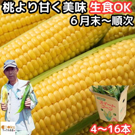 とうもろこし 早割 生で食べれる 甘い 朝どれ お中元 大分産 三重町 芦刈農産 生トウモロコシ 10～13本 約4.5kg 食べ物 食品 内祝 御中元 2024 送料無料 わくわくコーン どきどきコーン ゴールドラッシュ 黄色 バイカラ 6月 7月 8月 出荷 とうもろこしゴールドラッシュ