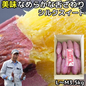 ܂ VNXC[g 3.5kg l`m TCY Â V ܈ p 啪 _Y zNzN Z Tc}C Mtg  2025 