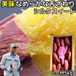 ܂ 5kg VNXC[g Â ܈ 啪 _Y zNzN Z Tc}C VNXC[g l`m TCY Mtg  2025 
