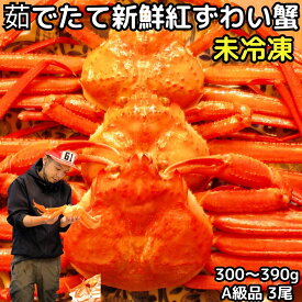 カニ 紅ずわいがに 未冷凍 A級品 300～390g×3尾 贈答品 水揚げ当日出荷 甘みを感じる新鮮 ボイル 蟹 送料無料 国産 鳥取 境港 直送 チルド かに 姿 茹で 生食用 紅ずわい蟹 ギフト 約3～5人前 日本産 紅 ずわい 紅ズワイガニ 紅ズワイカニ 紅ズワイ蟹