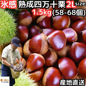 I \ I XnŊÂUP m yY Xn l\I 1`1.5kg 2L TCY 38`68