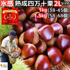 栗 予約 生栗 氷感熟成で甘さがUP 高知 西土佐産 氷感熟成 四万十栗 約1〜1.5kg 2L サイズ 約38〜68個