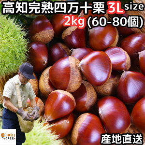 I \ I 1`2L 3l  m yY l\I 1`2kg 3LTCY 30`80 嗱 Ȃ܂ Ȃ܂