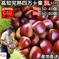 栗 予約 生栗 1〜2キロ 3l 送料無料 高知 西土佐産 四万十栗 約1〜2kg 3Lサイズ 約30〜80個 大粒 なまぐ…