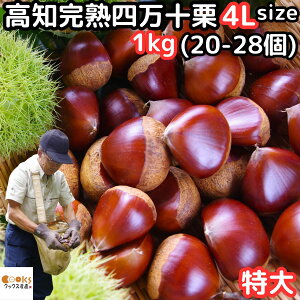 I I  m yY l\I 1kg 4LTCY 20`28 Ȃ܂ Ȃ܂