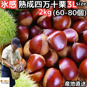 I I 1L 3l XnŊÂUP m yY Xn l\I 1kg 3LTCY 30`40
