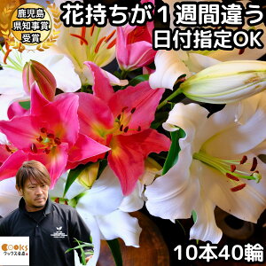 �� ���� �~�b�N�X ���̓� �ԑ� ��� �M�t�g ���Ε� ������ 3�{ 5�{ 10�{ 12�� 20�� 40�� ���Y �a���� �v���[���g �S�[�W���X ���j�� �������� �Ԏ�����1�T�ԈႤ �傫�� �� �_�� ���� ���� �S�� �{