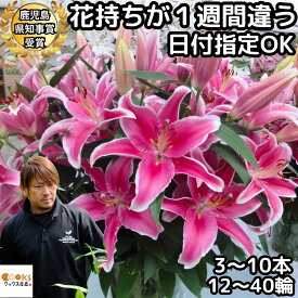 花 ユリ ピンク 父の日 花束 大輪 ギフト お歳暮 お正月 ピンク 3本 5本 10本 12輪 20輪 40輪 国産 誕生日 ゴージャス プレゼント お祝い 送料無料 花持ちが1週間違う 花 農家 直送 生花 百合 旬の ゆり pink ユリ花束 フラワー 結婚記念日 退院祝い 御祝 お供え 2025