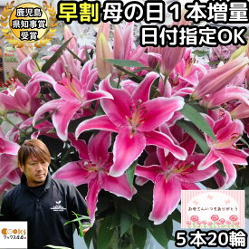 花 ユリ 母の日 早割 花束 大輪 ギフト ピンク 5本 20輪 鹿児島県知事賞受賞 国産 誕生日 プレゼント ゴージャス お祝い 送料無料 花持ちが1週間違う 大きい 花 農家 直送 生花 百合 旬のゆり MIX フラワー 配達 結婚記念日 退院祝い 御祝 お供え にも人気 2024