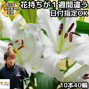 �� ���� �� �z���C�g �ԑ� ��� �M�t�g ���Ε� ������ 3�{ 5�{ 10�{ 12�� 20�� 40�� ���Y �a���� �S�[�W���X �v���[���g �Ԏ�����1�T�ԈႤ white �Ԕ_�ƒ��� ���� �S�� �{�� ��� �����ԑ� �����L�O