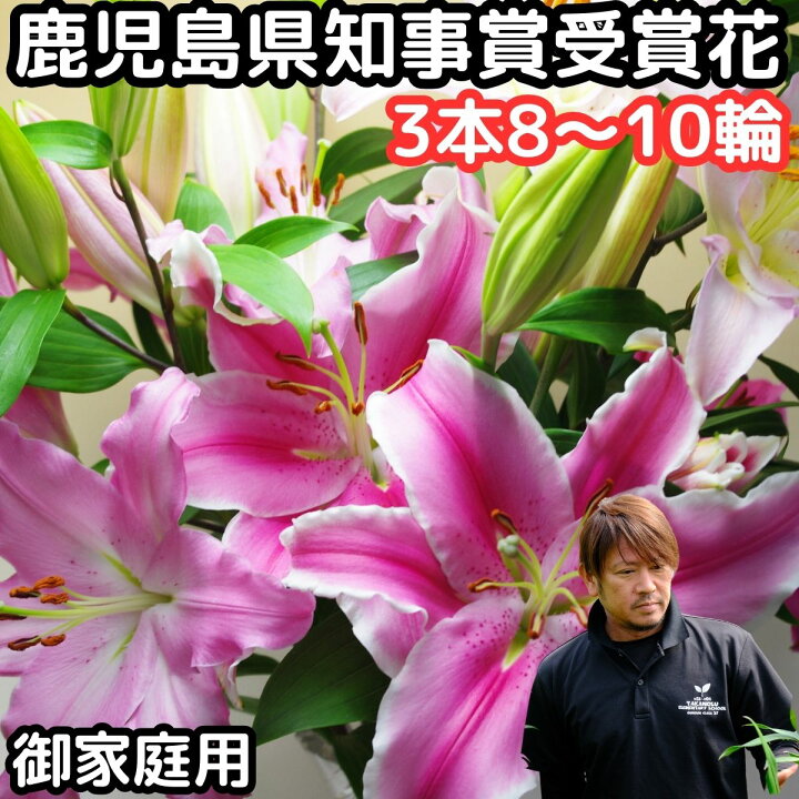 楽天市場】花 ユリ ピンク 花束 大輪 家庭用 ミックス3本 8〜10輪以上 