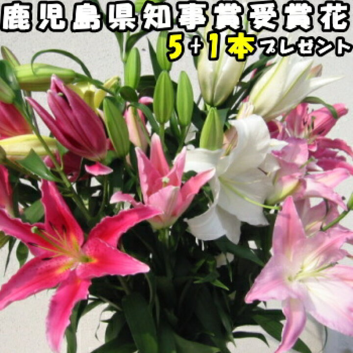 楽天市場 クーポン100円off 花 ユリ 母の日 早割 花束 大輪 ギフト ミックス 5本 1本 増量 25輪 国産 誕生日 プレゼント ゴージャス お祝い 送料無料 花持ちが1週間違う 大きい 花 農家 直送 生花 百合 旬の ゆり Mix フラワー 結婚記念日 退院祝い 御祝 楽天市場 クーポン100円off 花 ユリ 母の日 早割 花束 大輪 ギフト ミックス 5本 1本 増量 25輪 国産 誕生日 プレゼント ゴージャス お祝い 送料無料 花持ちが1週間違う 大きい 花 農家 直送 生花 百合 旬の ゆり Mix フラワー 結婚記念日 退院祝い 御祝