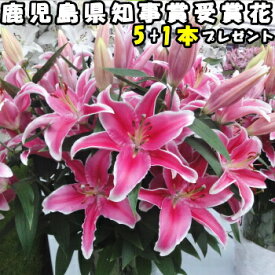 楽天市場 花 農家 直送の通販
