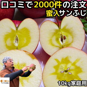   Tӂ 10kg 24`46 R~2000 \  TtW  MB c_ 󂠂 ƒp 