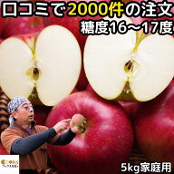 りんご シナノスイート 5kg 11〜23玉 家庭用 訳あり 長野 原田農園 口コミ2000件 噂のリンゴ 第2弾 糖度 …