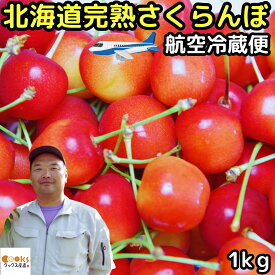 【航空クール便】 さくらんぼ 佐藤錦 紅秀峰 お中元 ギフト 1kg lサイズ 以上 送料無料 完熟 サクランボ バラ詰め 贈答品 北海道 旭川 山中果樹園 農家直送 冷蔵配送 産地直送