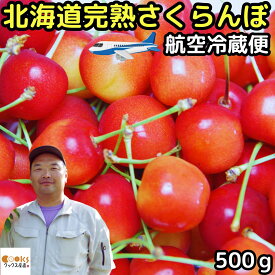 【航空冷蔵便】 さくらんぼ 佐藤錦 紅秀峰 お中元 ギフト 500g lサイズ 以上 送料無料 完熟 サクランボ バラ詰め 贈答品 北海道 旭川 山中果樹園 農家直送 冷蔵配送 産地直送