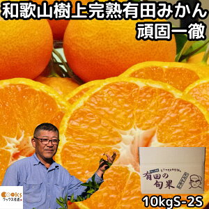 みかん 和歌山 有田 小玉 小粒 10kg s〜2s サイズ 贈答品 秀品 甘い 美味しい 糖度 送料無料 頑固一徹 生勇農園 樹上完熟 小さい 早生 温州 有田みかん お歳暮 贈答用 ギフト 箱 買い 農家直送 蜜