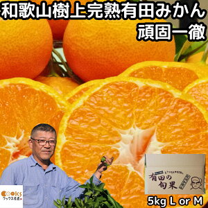 ݂ a̎R Lc Â 5kg l or m TCY i Gi  x  ňO E_ ㊮n  B Lc݂ Ε p Mtg   _ƒ  Y