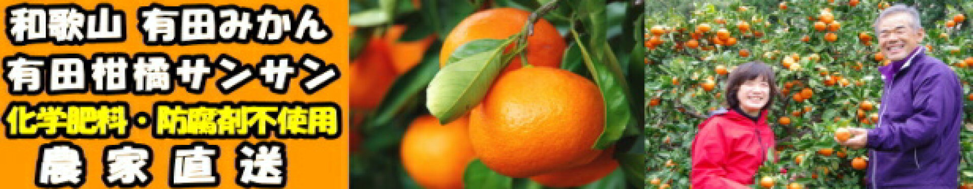 和歌山有田さんさん