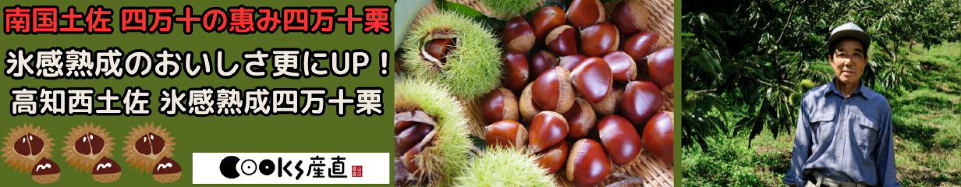 高知氷感熟成四万十栗