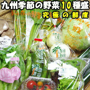 ɂ̑Nxł͂IBY▼O邱؃ZbgIG߂10퐷  B ؃Zbg   l ؃Zbg  ؃Zbg _