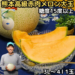 ������ ���Ε� �M�t�g �ԓ������� �� ��� 1�� 3L�`4L ��1.8�`2kg ���x15�x�ȏ� �F���ȍ��� �Â݂��������� �F�{ �Y�n���� �j�V���� �N���X�}�X �v���[���g 2025 �\�� �H�i �H�ו� �t���[�c �ʕ� ��