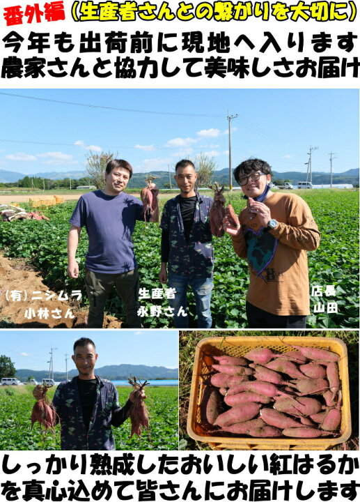 楽天市場】紅はるか さつまいも 甘い 熟成 完熟 3.5kg 送料無料 熊本 益城町 特別栽培 ねっとり 濃厚 サツマイモ 蔵出し べにはるか 3l〜S サイズ 贈答用 ギフト ホクホク さつま芋 農家直送 箱入 : クックス産直楽天市場店 楽天市場】紅はるか さつまいも 甘い 熟成 完熟 3.5kg 送料無料 熊本 益城町 特別栽培 ねっとり 濃厚 サツマイモ 蔵出し べにはるか 3l〜S サイズ 贈答用 ギフト ホクホク さつま芋 農家直送 箱入 : クックス産直楽天市場店