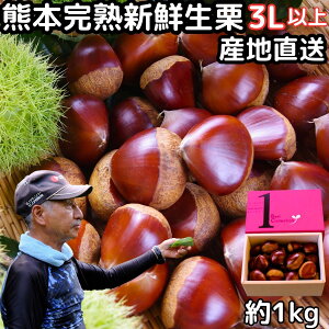 I F{ I 嗱 VN n   I Mtg 1kg 3L TCY Y i O }g   