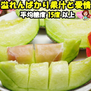 【クーポン100円OFF】 メロン ギフト 母の日 早割 大玉 アールスメロン 糖度15度以上 甘い 芳醇な香り 熊本 産地直送ニシムラ厳選 母の日 塩 アールスメロン 匠 3L〜4L 約1.8〜2kg 1玉 2021 早割特典 予約 フルーツ 果物 グルメ 食べ物 予約 4月 ゴールデンウィーク