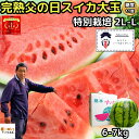 スイカ 熊本 父の日 ギフト 大玉 甘い 糖度11度 2L〜L 1玉 6〜7kg 約5〜6人前 安心の特別栽培認定 産地直送ニシムラ 母の日スイカ すいか 西瓜 送料無料 プレゼント 2025 予約 食品 食べ物 フルーツ 果物 出産祝い 内祝い 植木