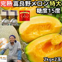 メロン 北海道 富良野 お中元 ギフト 赤肉 特大 富良野メロン 2玉 4.4〜6.4kg以上 特秀品 送料無料 糖度15度 完熟 めろん 丸山農園 品種 贈答用 特秀品 旬 お盆 お供え 御中元 食品 食べ物 高級 フルーツ 果物 誕生日 内祝 出産祝い 2025 甘い 美味しい