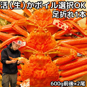 Jj tKj 󂠂 ܂ 1{Ȃ twOK 600gO×2    {C I Ⓚ  Y  `  tI p Hp  `h Mtg