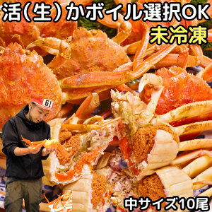 Jj ZRKj 󂠂 ܂ twOK 10  TCY    {C I Ⓚ  ` 󂠂  eI  Kj tKj tI }coKj