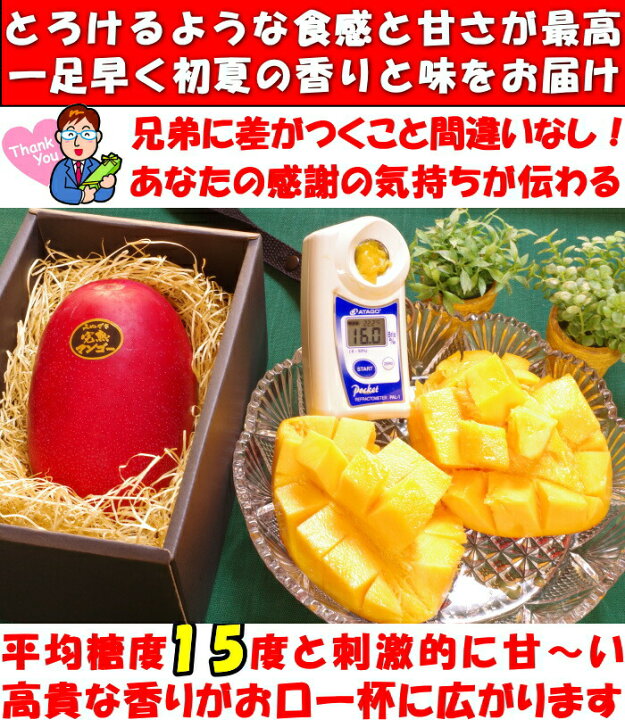 楽天市場】マンゴー 父の日 ギフト プレゼント 宮崎 完熟マンゴー 赤秀 
