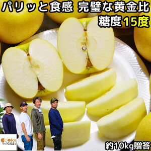  VimS[h  10kg 20`40 p Mtg  NbNXэj񂲉 S v[g  Ȃ̂[ ь \ Y  _  MB 